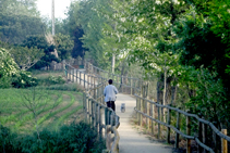 Camino de la ribera del Onyar.