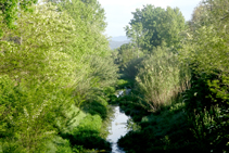 Río Onyar y bosque de ribera.