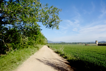 Seguimos la pista entre el Onyar y los campos de cultivo.