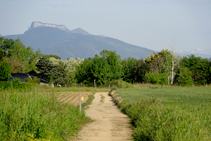 Típico mosaico agroforestal.