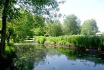 La acequia de las Fonts y los amaradors.