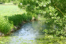 Detalle de la acequia de las Fonts.