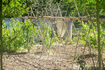 Huertos del vecindario de las Fonts.