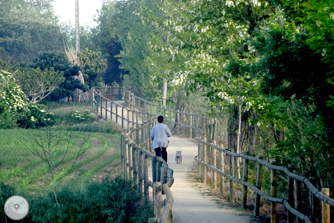 Vuelta por el Rec de Banyacans y las Fuentes de Salitja 1 