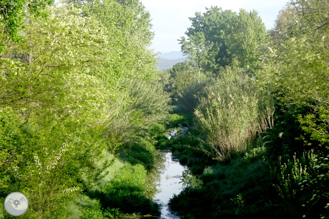 Vuelta por el Rec de Banyacans y las Fuentes de Salitja 1 