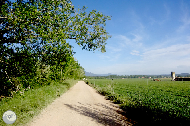 Vuelta por el Rec de Banyacans y las Fuentes de Salitja 1 