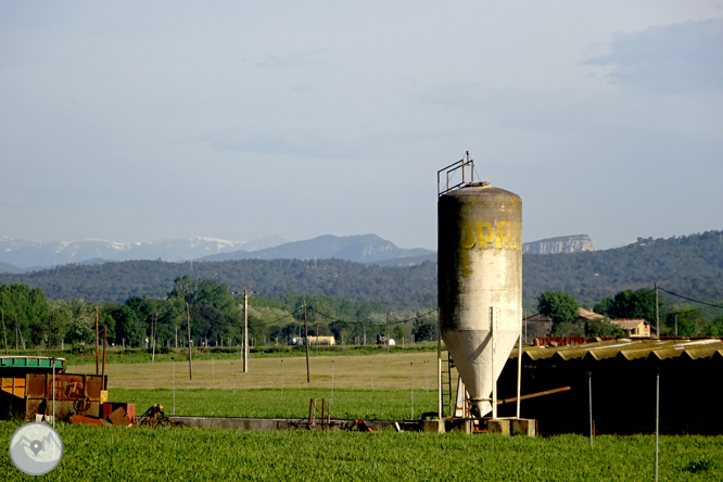 Vuelta por el Rec de Banyacans y las Fuentes de Salitja 1 