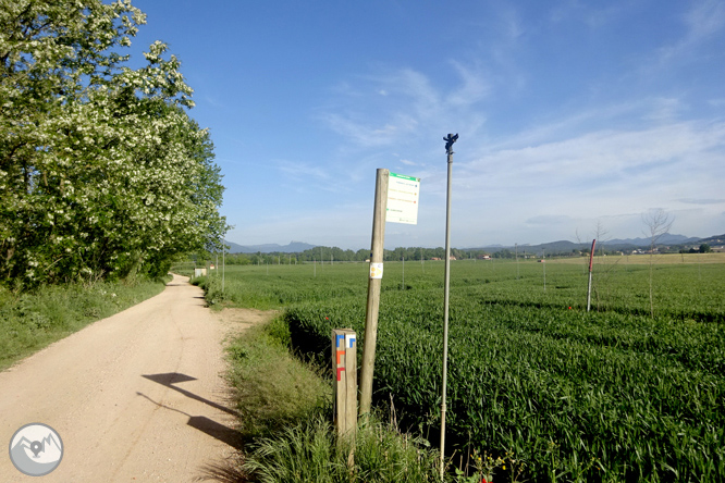 Vuelta por el Rec de Banyacans y las Fuentes de Salitja 1 