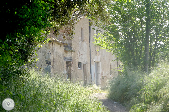 Vuelta por el Rec de Banyacans y las Fuentes de Salitja 1 