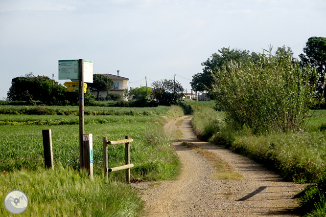 Vuelta por el Rec de Banyacans y las Fuentes de Salitja 1 