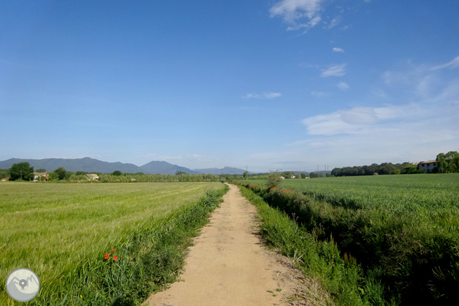 Vuelta por el Rec de Banyacans y las Fuentes de Salitja 1 