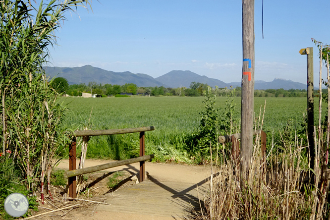 Vuelta por el Rec de Banyacans y las Fuentes de Salitja 1 