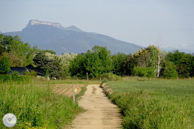 Vuelta por el Rec de Banyacans y las Fuentes de Salitja 1 