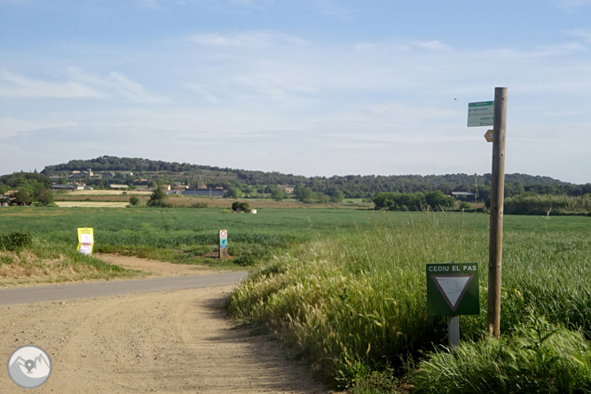 Vuelta por el Rec de Banyacans y las Fuentes de Salitja 1 