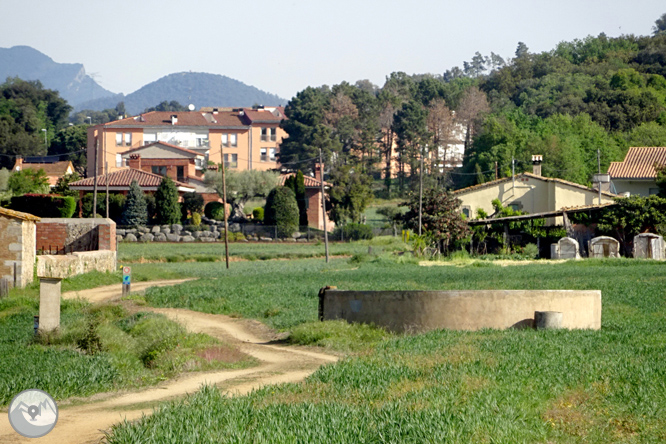 Vuelta por el Rec de Banyacans y las Fuentes de Salitja 1 