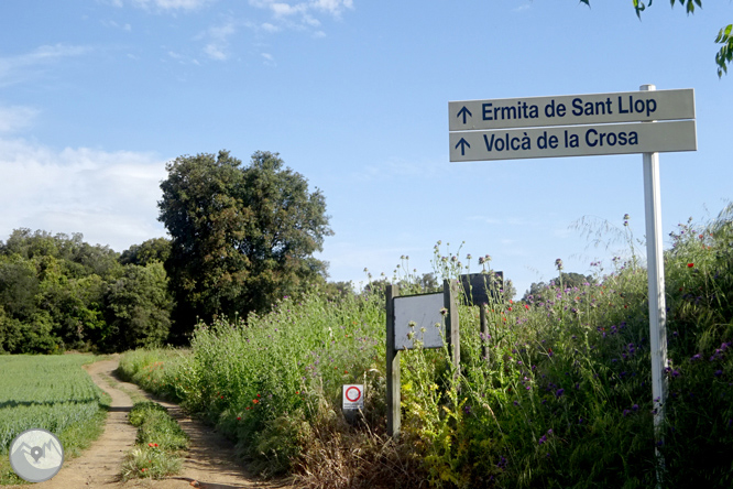 Vuelta por el Rec de Banyacans y las Fuentes de Salitja 1 