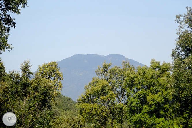 Vuelta por el Rec de Banyacans y las Fuentes de Salitja 1 