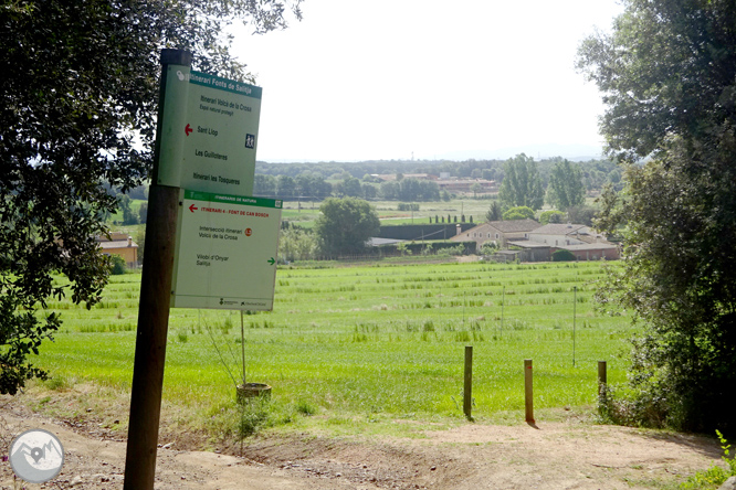 Vuelta por el Rec de Banyacans y las Fuentes de Salitja 1 