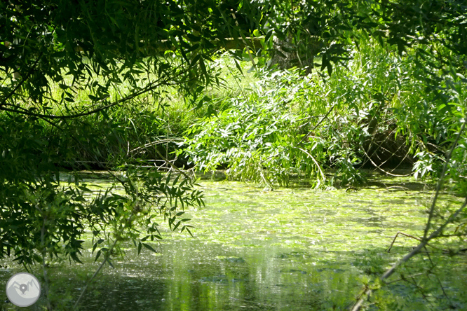 Vuelta por el Rec de Banyacans y las Fuentes de Salitja 1 