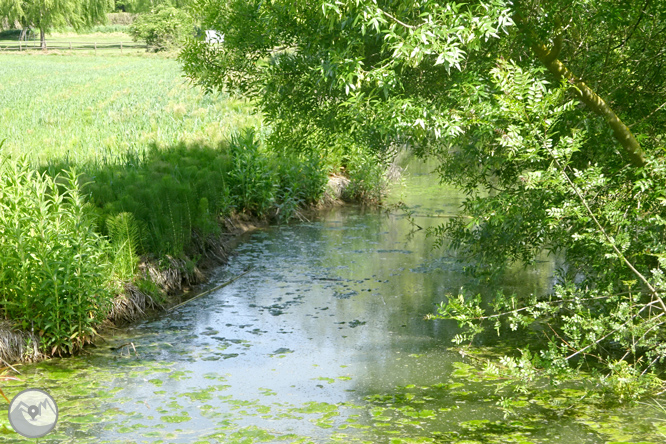 Vuelta por el Rec de Banyacans y las Fuentes de Salitja 1 