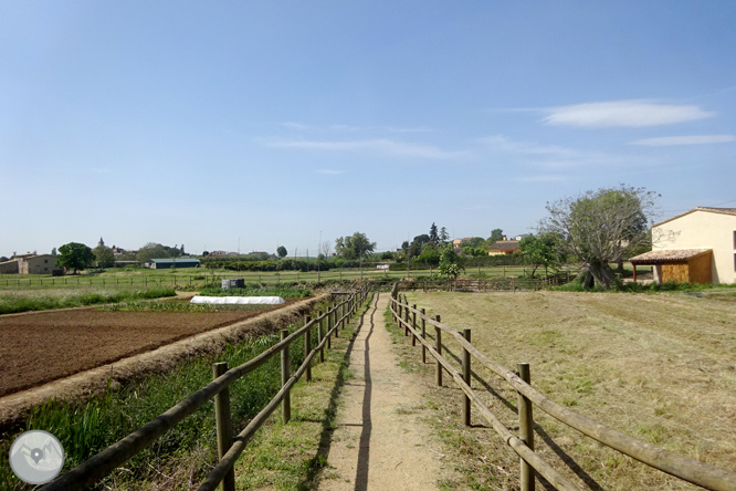 Vuelta por el Rec de Banyacans y las Fuentes de Salitja 1 