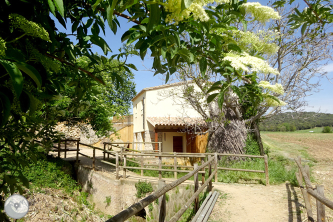 Vuelta por el Rec de Banyacans y las Fuentes de Salitja 1 