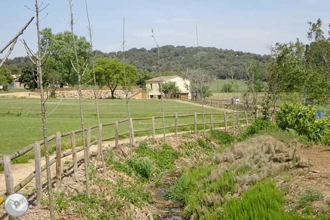 Vuelta por el Rec de Banyacans y las Fuentes de Salitja 1 