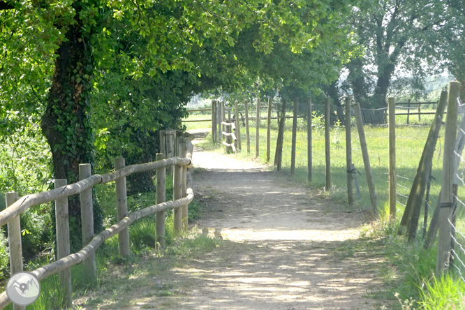 Vuelta por el Rec de Banyacans y las Fuentes de Salitja 1 