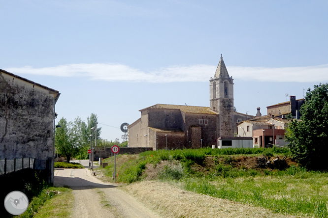 Vuelta por el Rec de Banyacans y las Fuentes de Salitja 1 